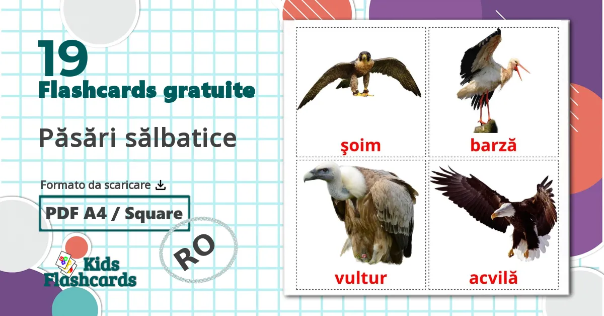 19 flashcards di Păsări sălbatice