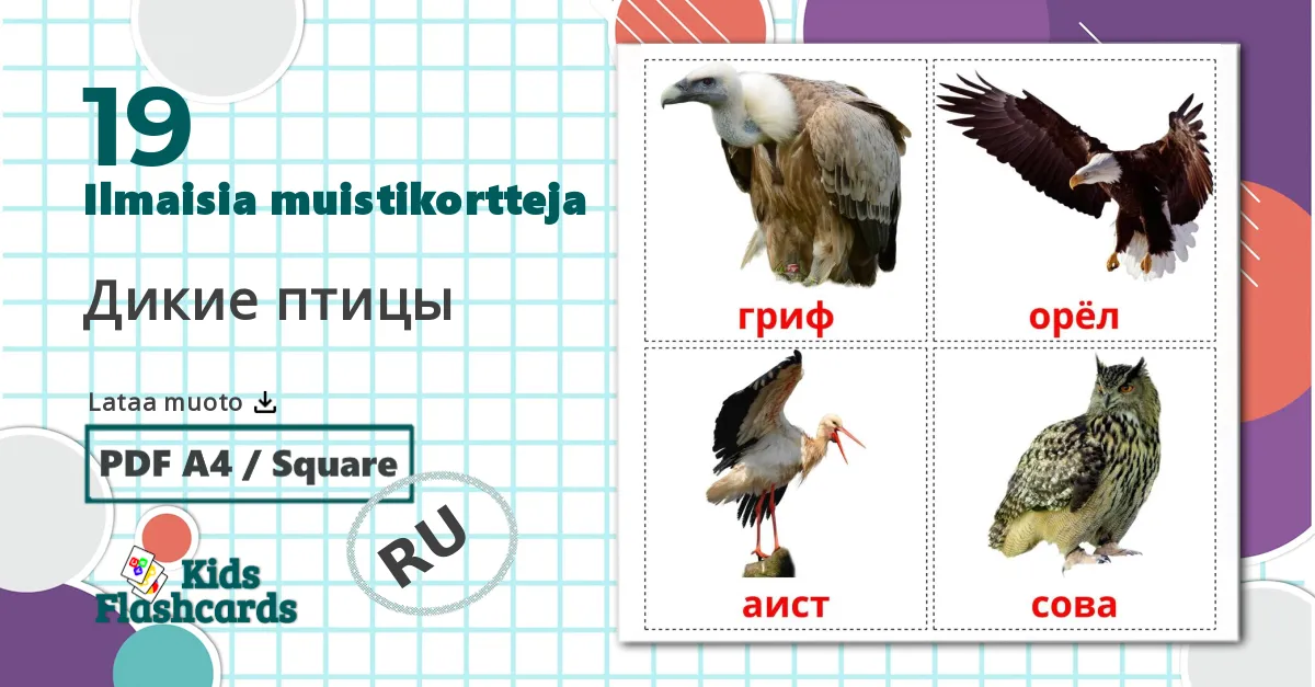 19 Дикие птицы lasten kuvakortit