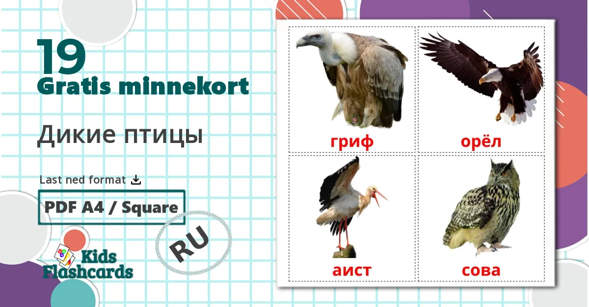 19 Дикие птицы bildekort