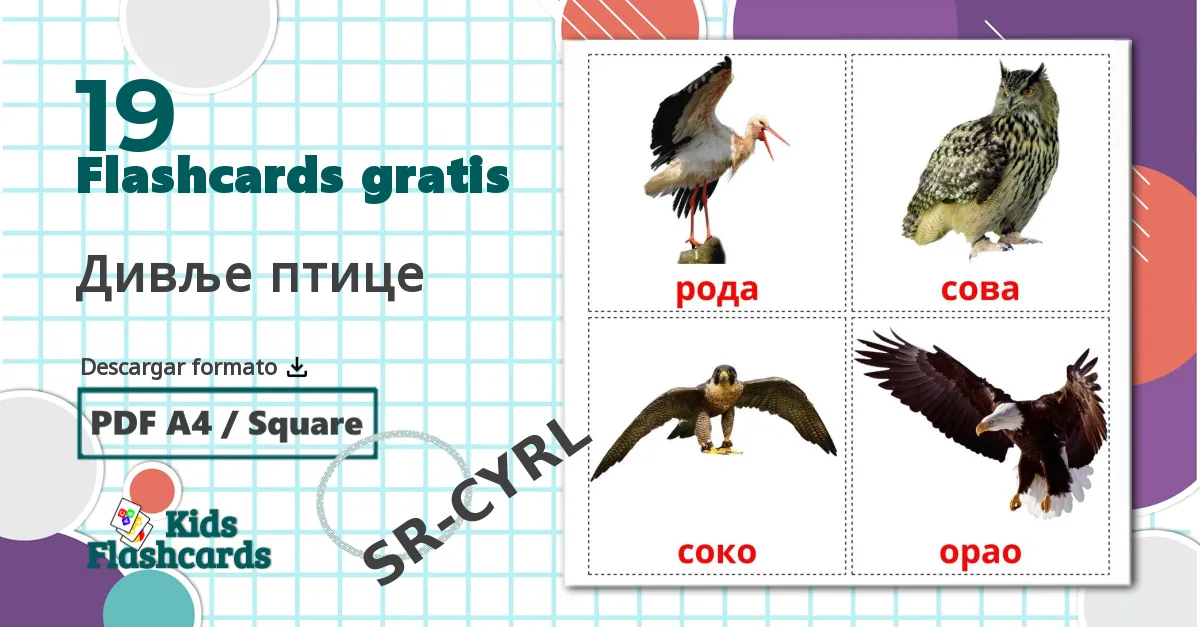 19 tarjetas didacticas de Pájaros salvajes