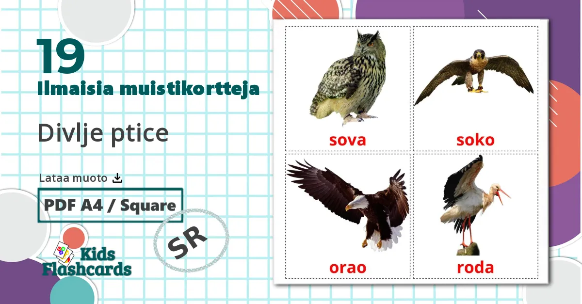 19 Divlje ptice lasten kuvakortit