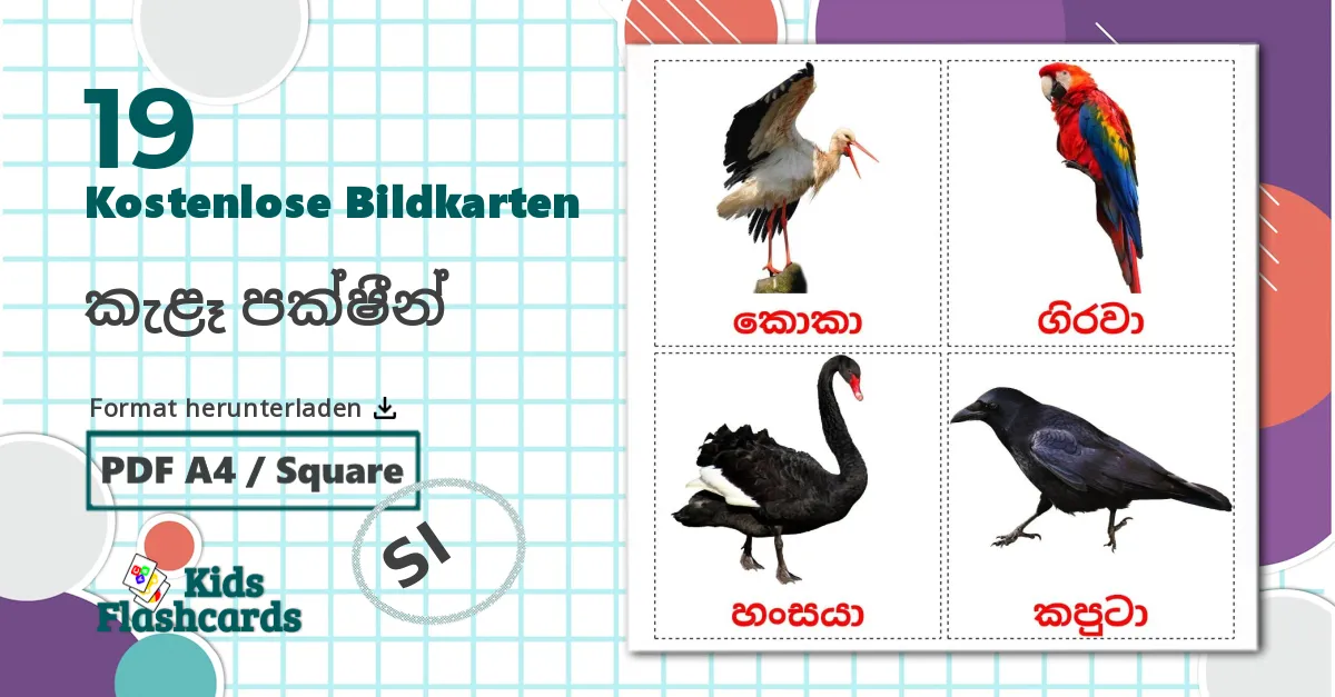 19 Bildkarten für Wildvögel