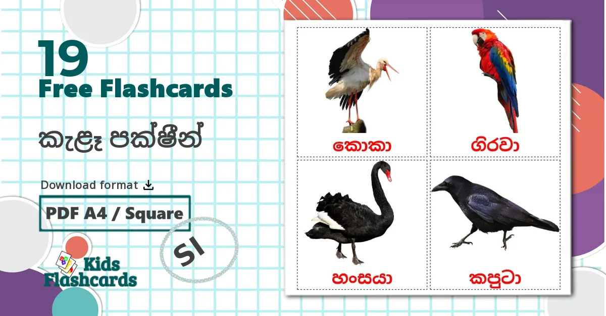 19 Farm animals flashcards