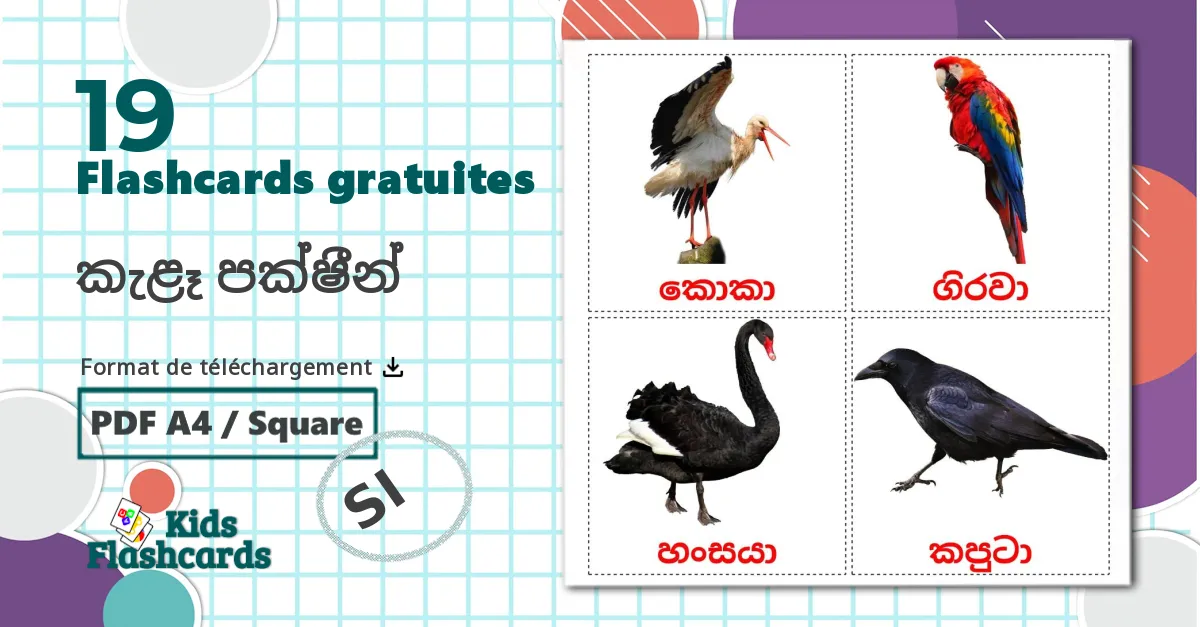 19 Imagiers Les Oiseaux Sauvages