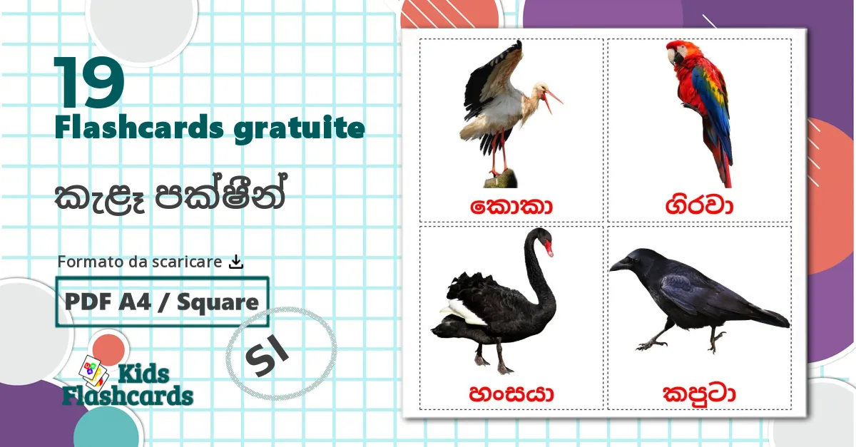 19 flashcards di Uccelli selvaggi