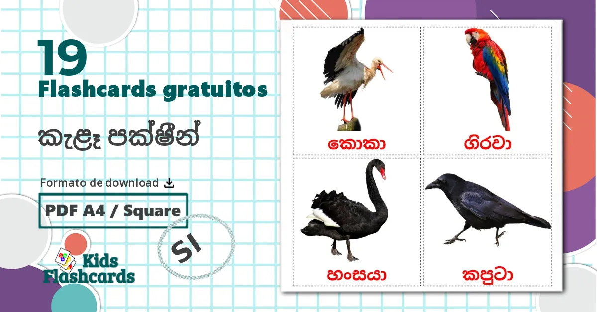 19 Flashcards de Pássaros Selvagens