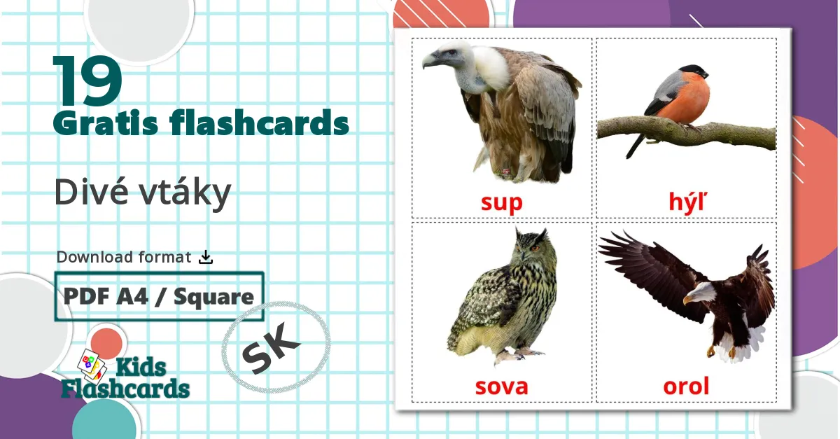 19 Divé vtáky  billedkort for børn