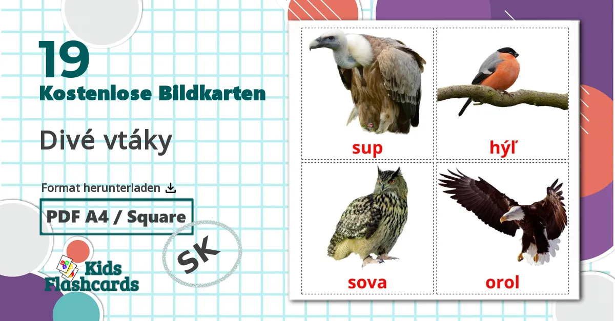 19 Bildkarten für Divé vtáky