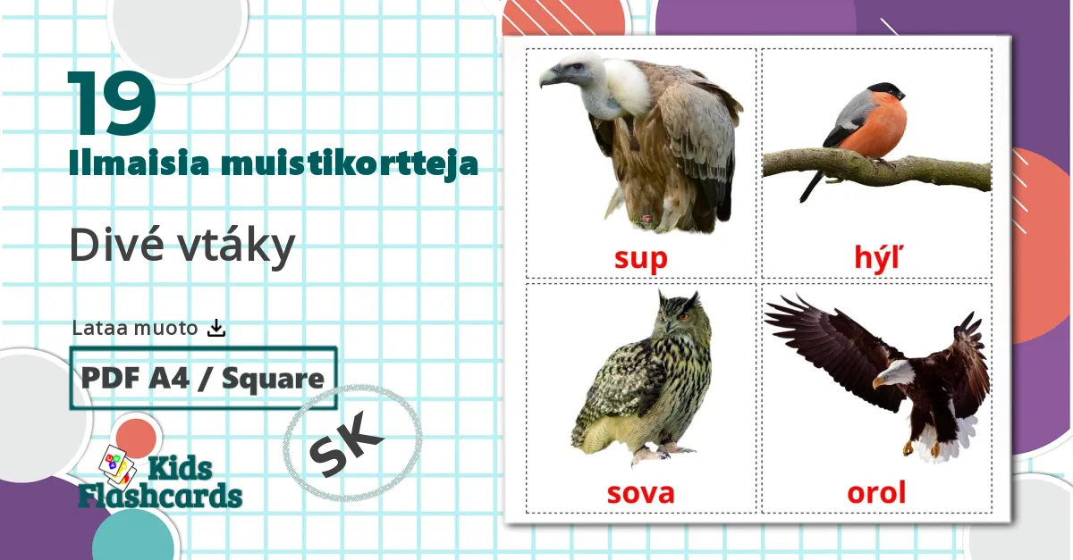 19 Divé vtáky  lasten kuvakortit