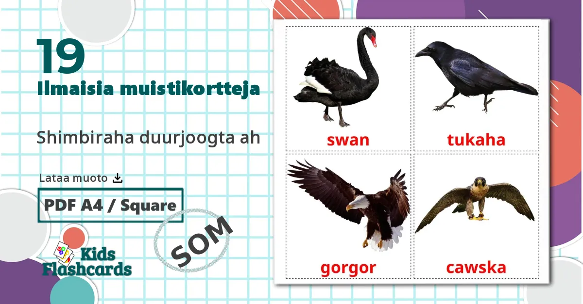 19 Luonnonvaraiset linnut lasten kuvakortit