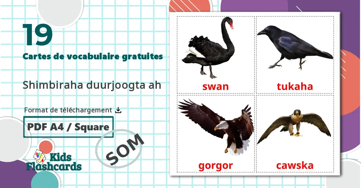 19 Imagiers Les Oiseaux Sauvages