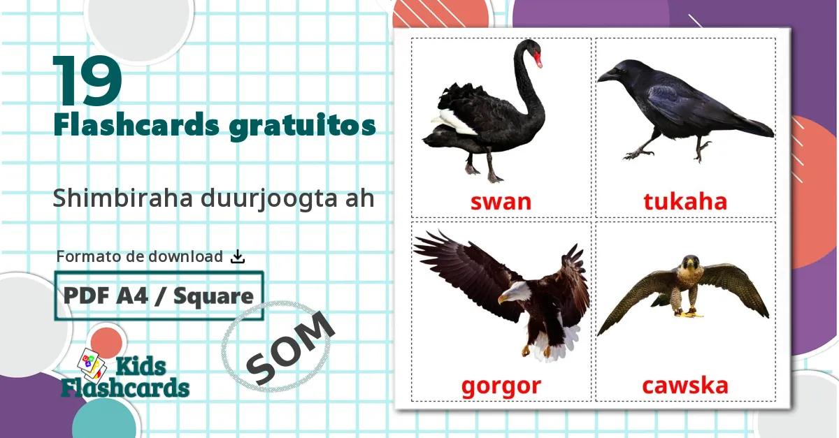 19 Flashcards de Pássaros Selvagens