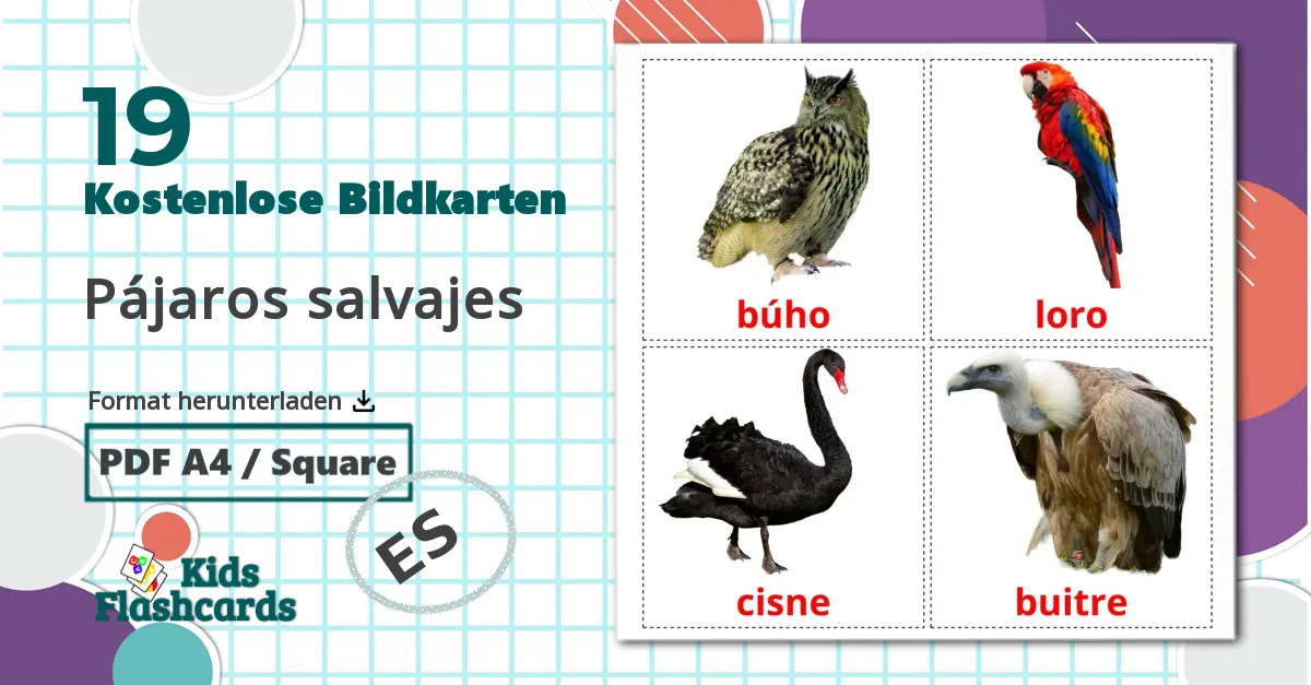 19 Bildkarten für Pájaros salvajes