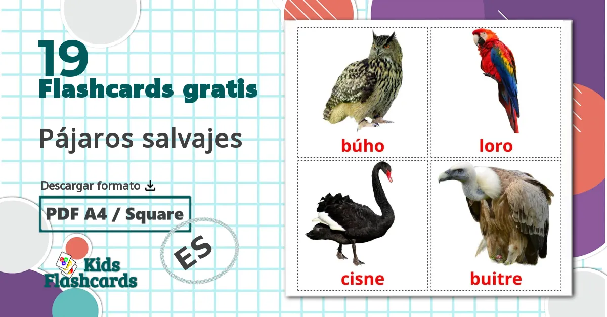 19 tarjetas didacticas de Pájaros salvajes