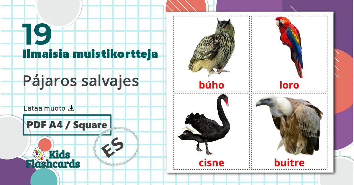 19 Pájaros salvajes lasten kuvakortit