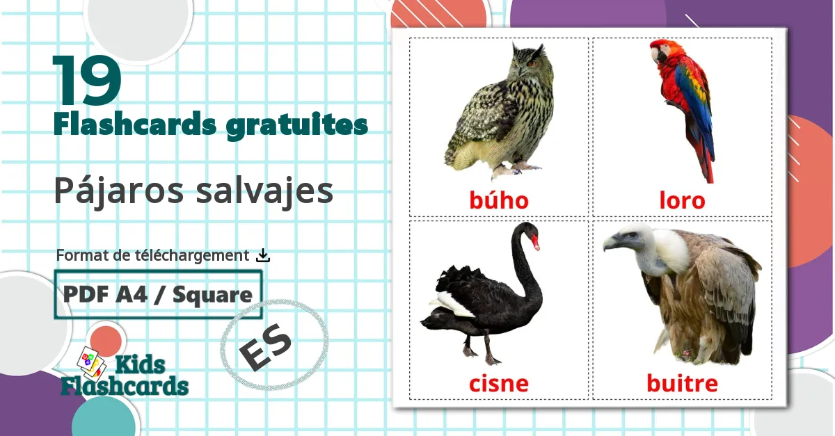 19 Imagiers Pájaros salvajes