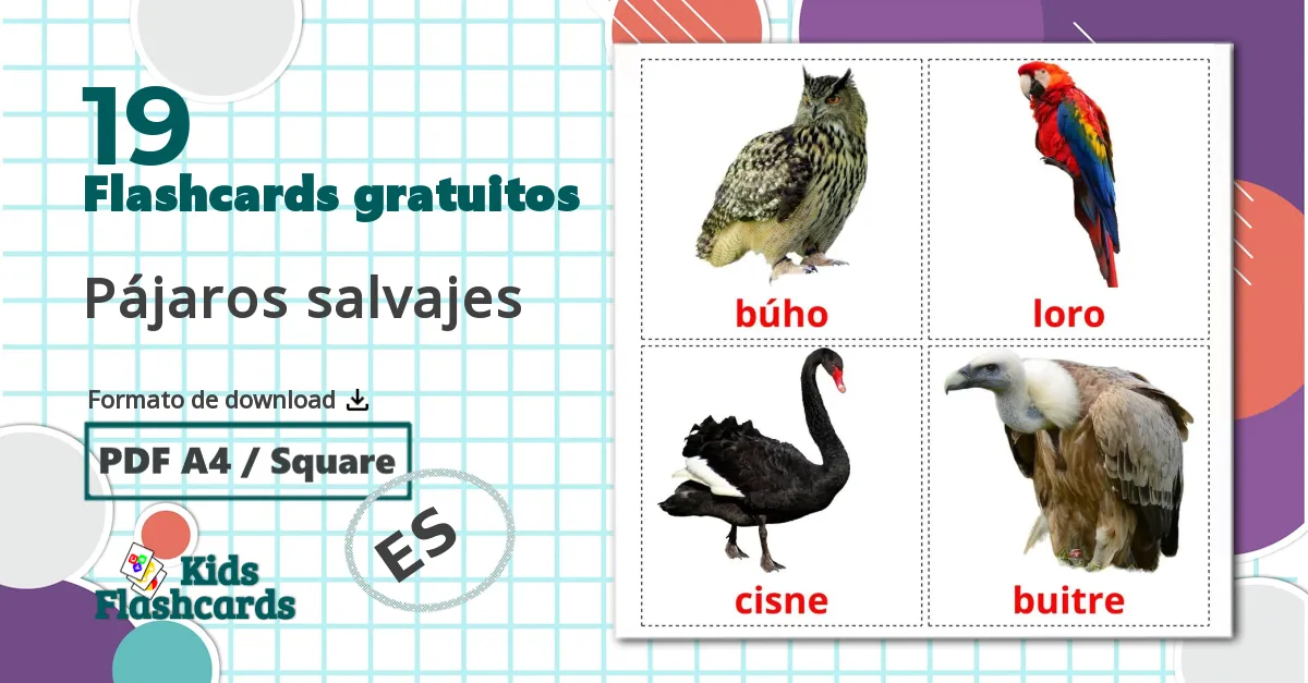 19 Flashcards de Pájaros salvajes