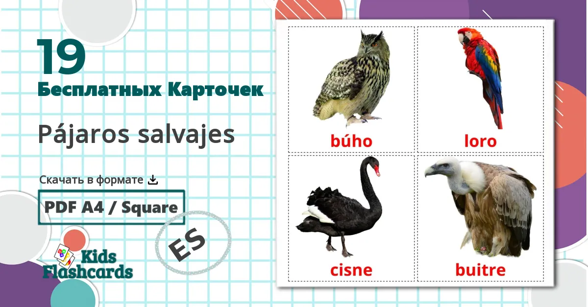 19 Карточки Домана Pájaros salvajes