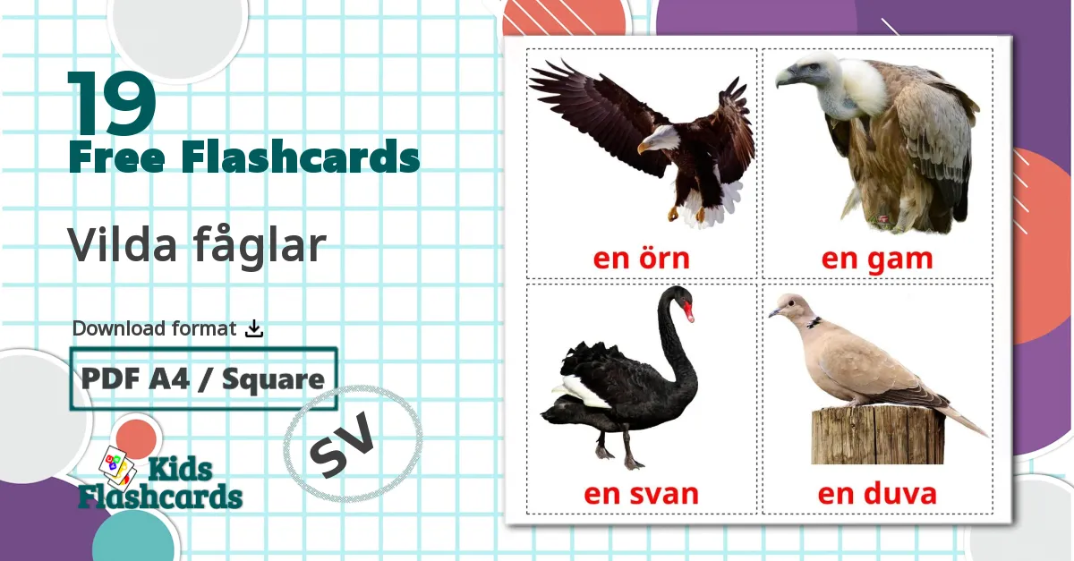 19 Vilda fåglar flashcards