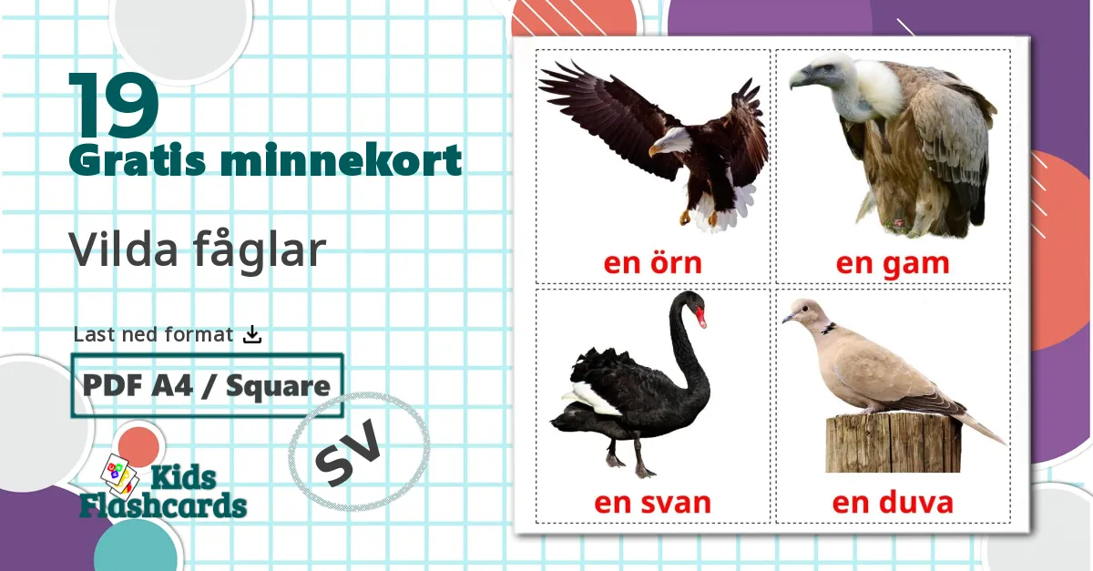 19 Vilda fåglar bildekort