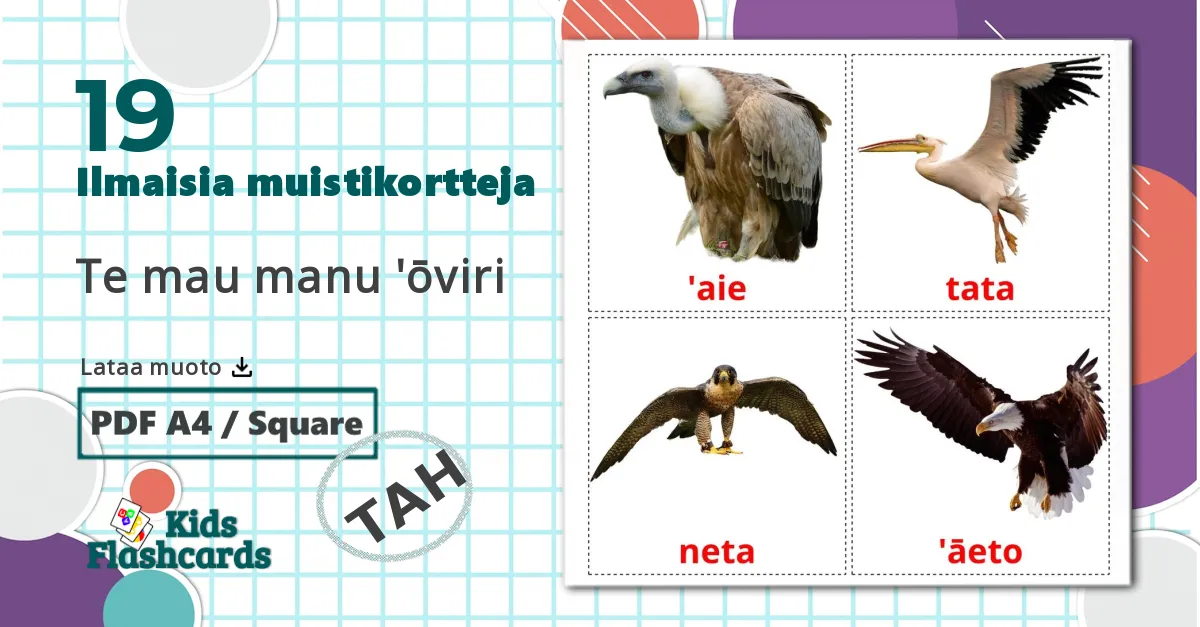 19 Te mau manu 'ōviri lasten kuvakortit