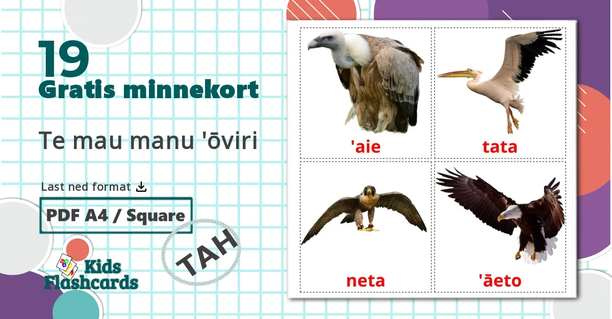 19 Te mau manu 'ōviri bildekort