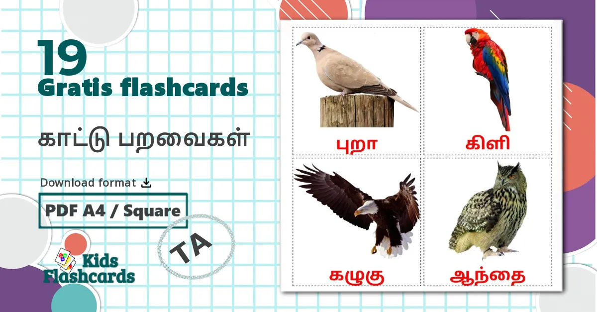19 காட்டு பறவைகள் billedkort for børn