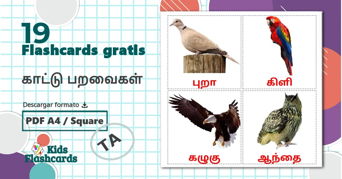 19 tarjetas didacticas de காட்டு பறவைகள்