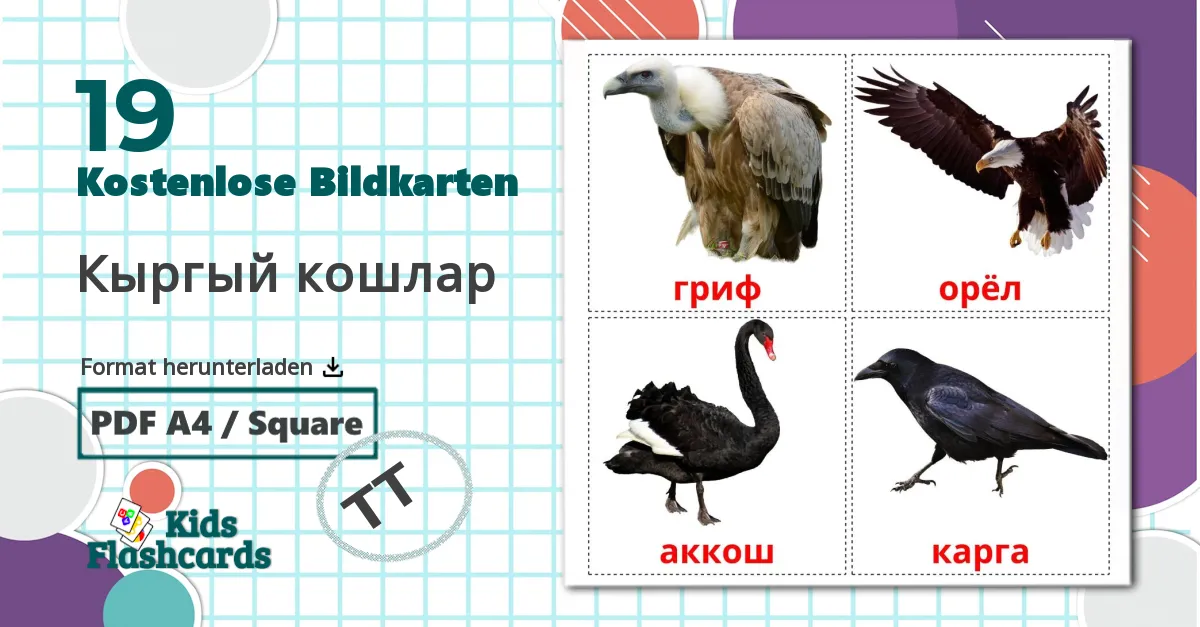 19 Bildkarten für Кыргый кошлар