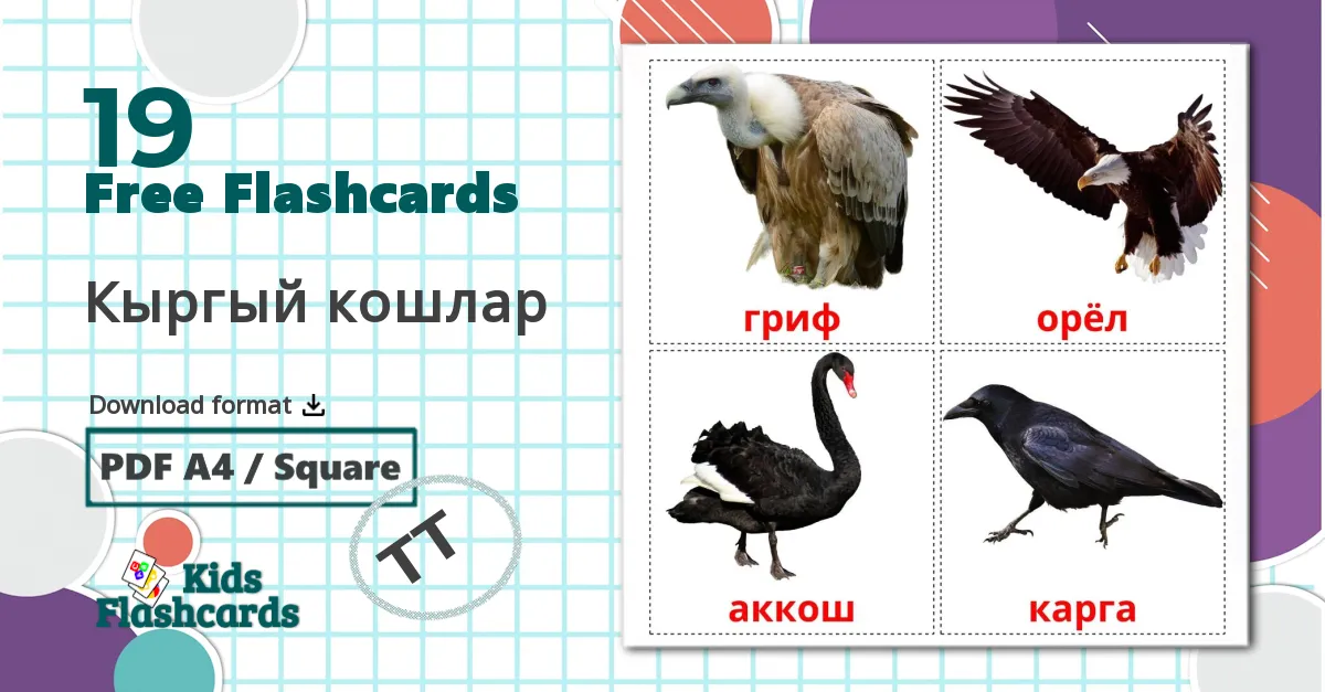 19 Wild birds flashcards