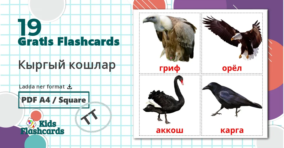 19 Кыргый кошлар bildkort för barn