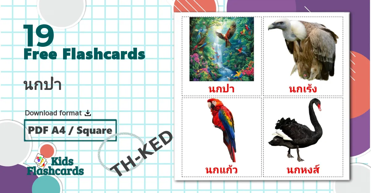 19 นกป่า flashcards