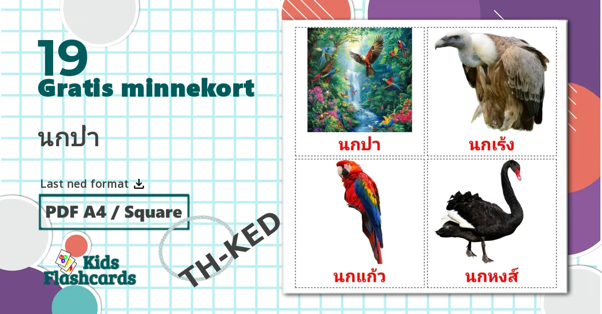 19 นกป่า bildekort