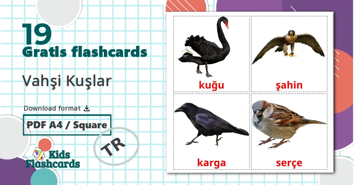 19 Vahşi Kuşlar billedkort for børn