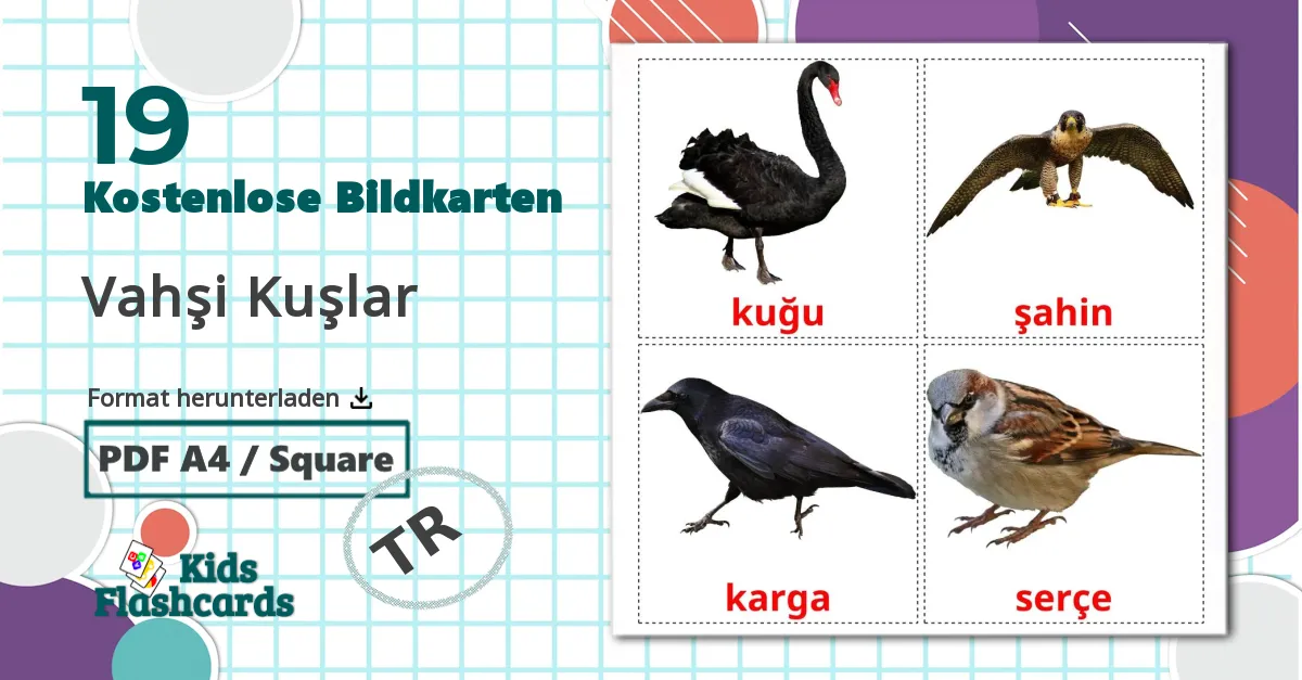 19 Bildkarten für Wildvögel