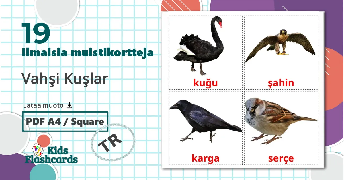 19 Vahşi Kuşlar lasten kuvakortit
