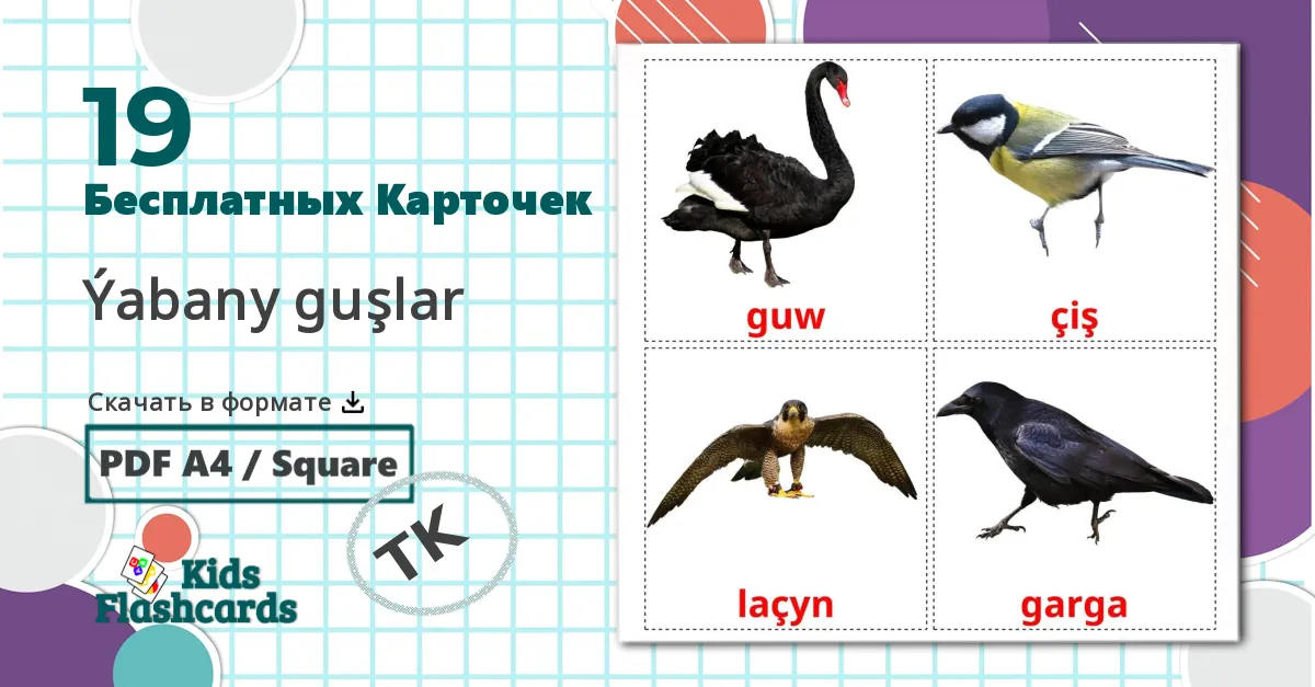 19 Карточки Домана Дикие птицы