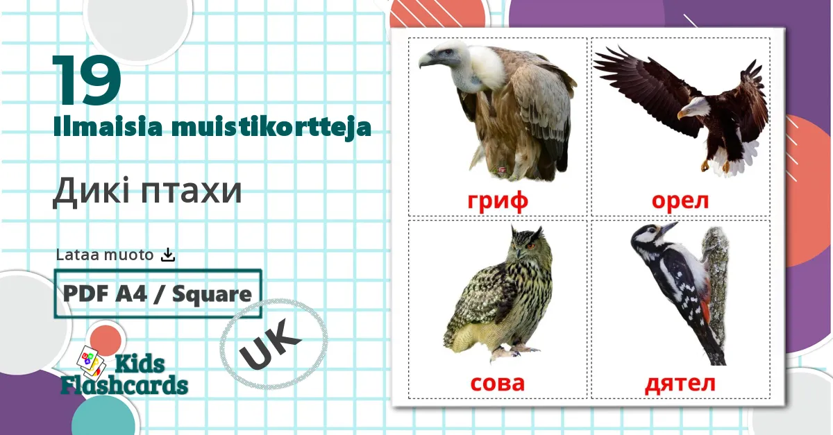 19 Дикі птахи  lasten kuvakortit