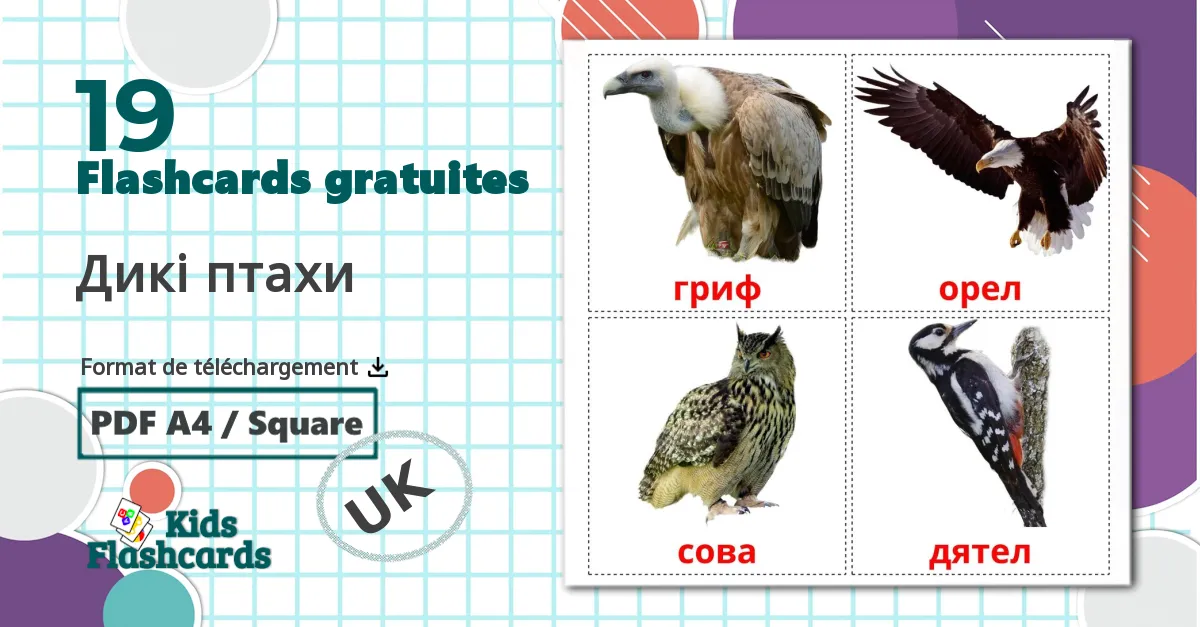 19 Imagiers Les Oiseaux Sauvages