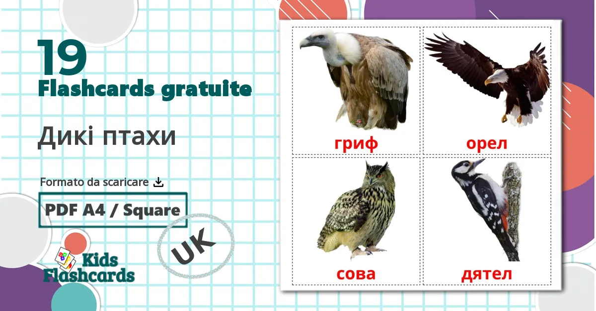 19 flashcards di Uccelli selvaggi