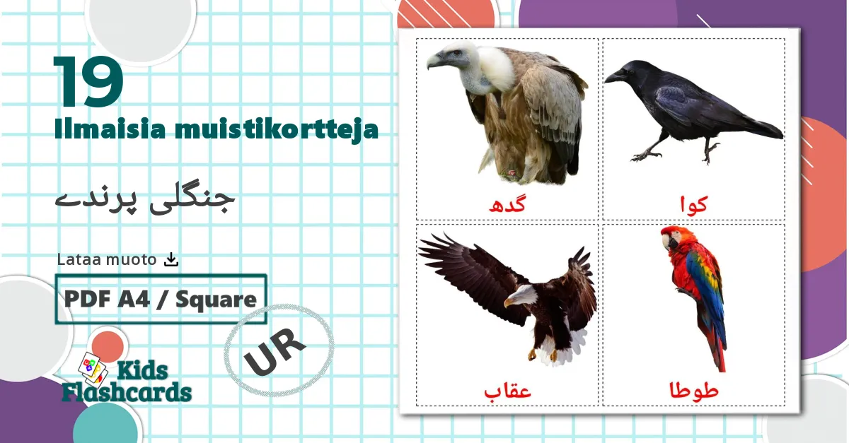 19 جنگلی پرندے lasten kuvakortit