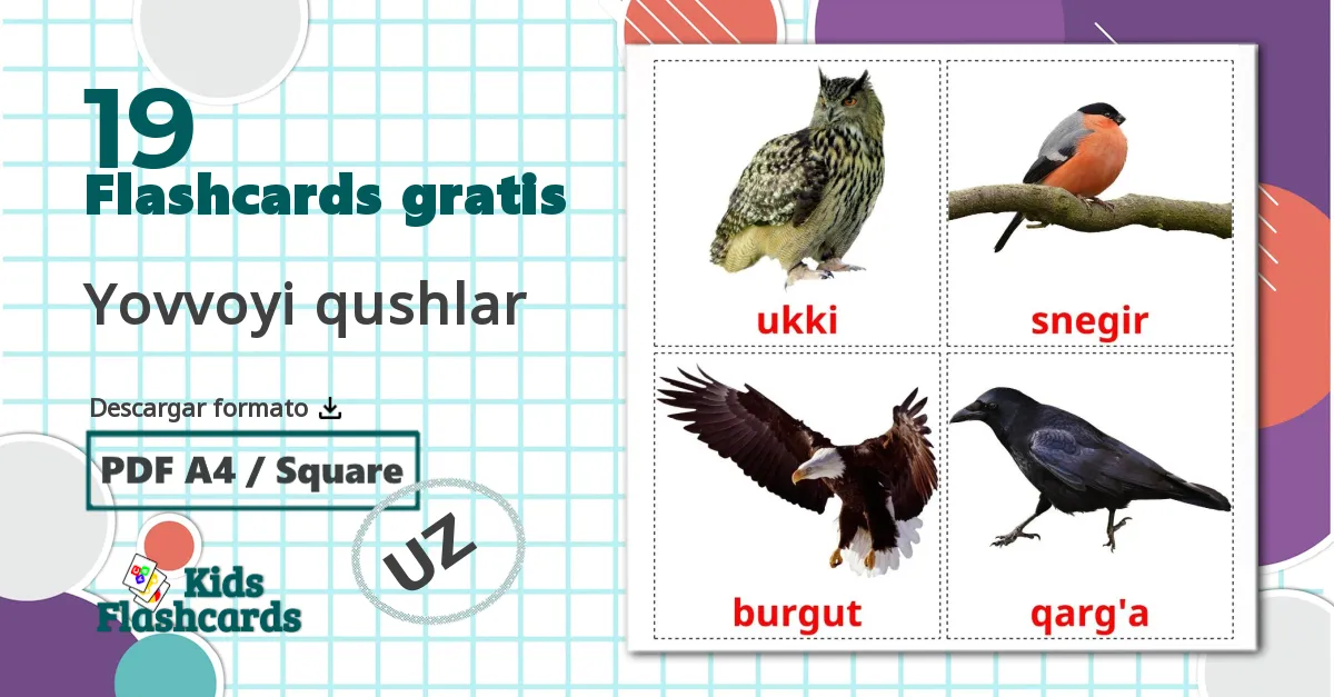 19 tarjetas didacticas de Yovvoyi qushlar