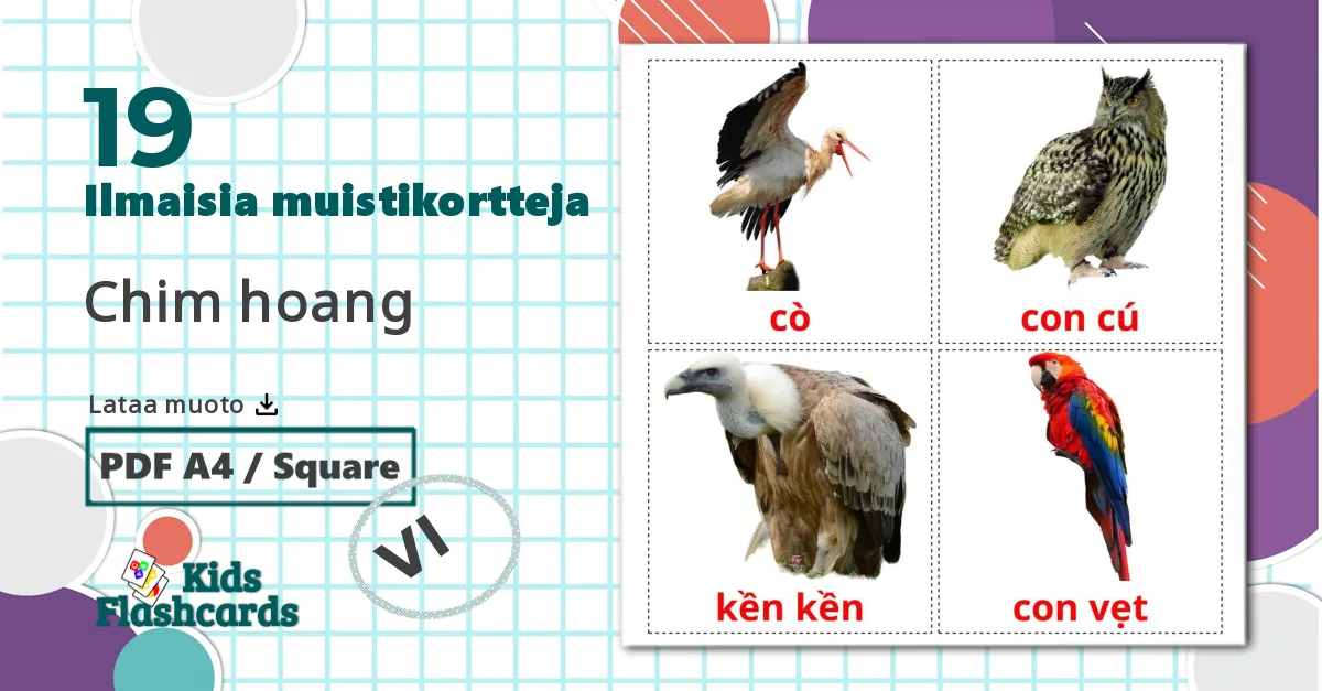 19 Chim hoang lasten kuvakortit
