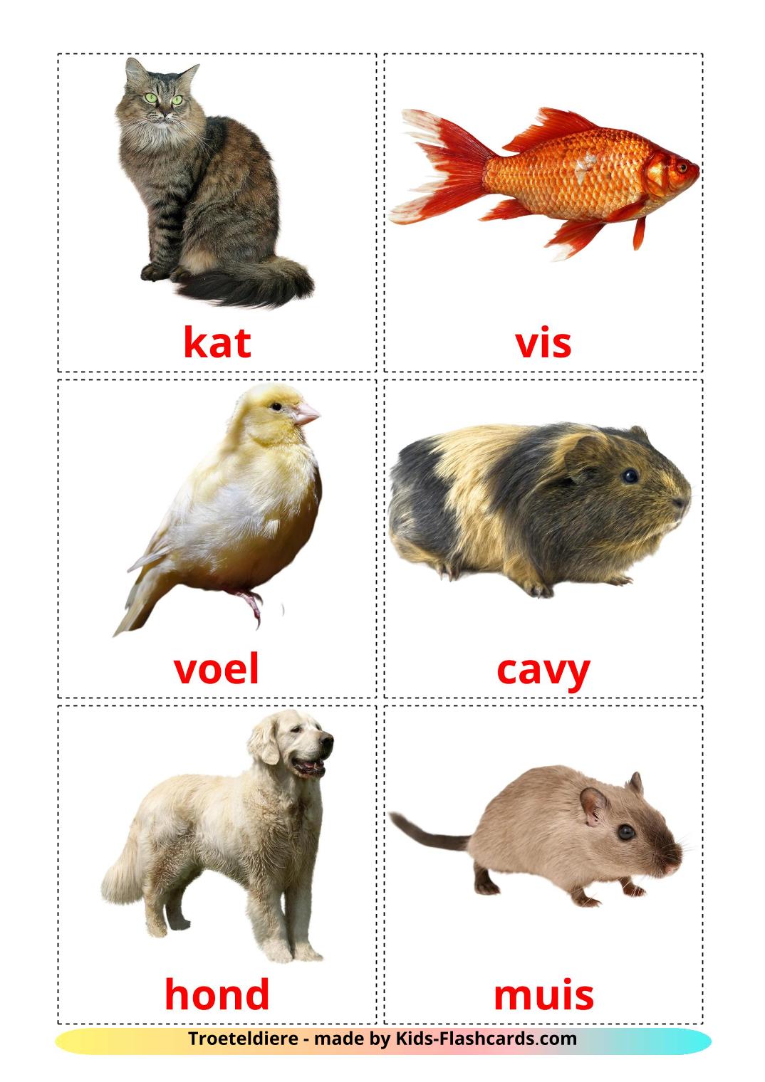 Domestic animals - 10 Free Printable afrikaans Flashcards 