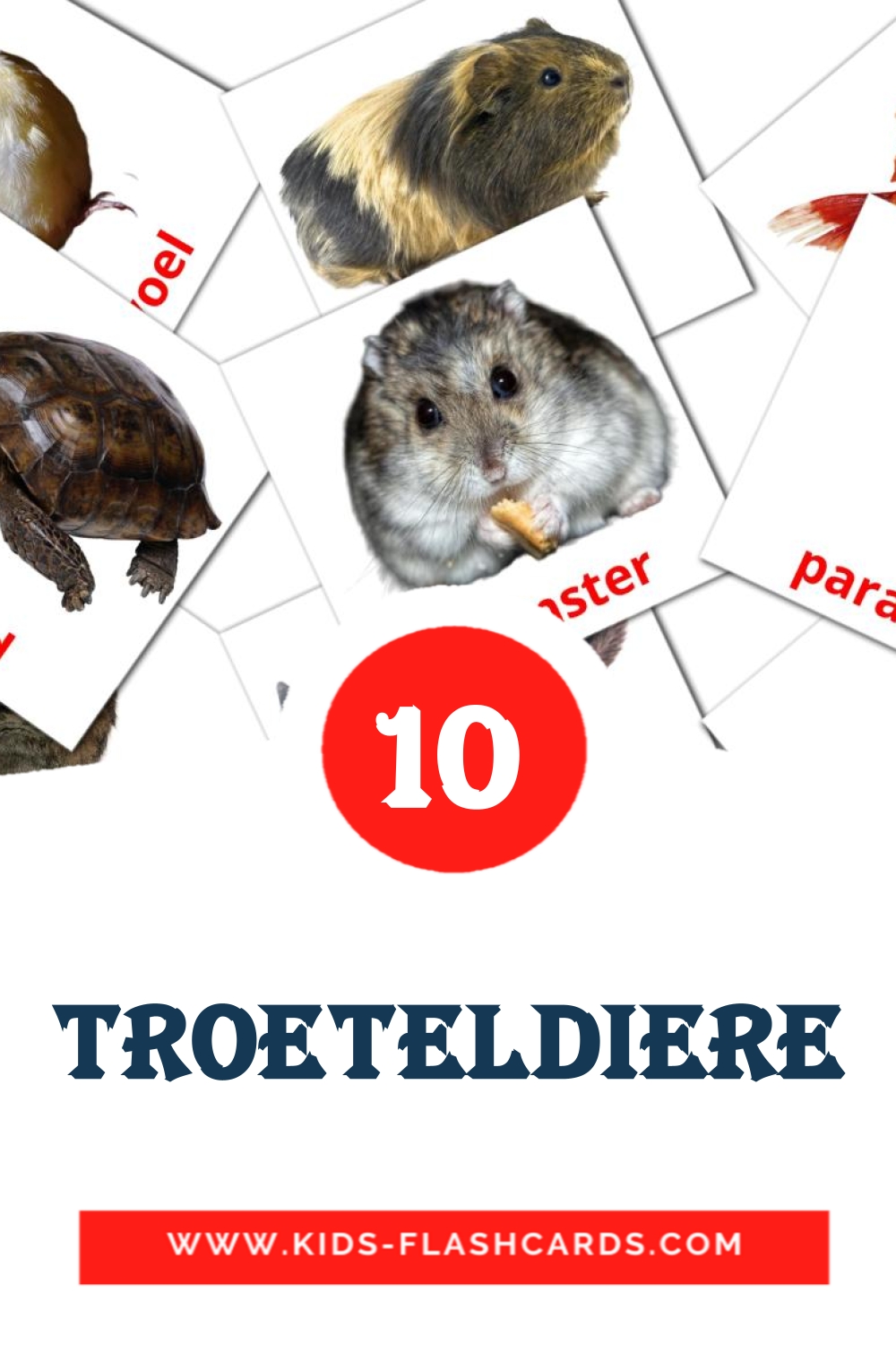 10 tarjetas didacticas de Troeteldiere para el jardín de infancia en afrikáans