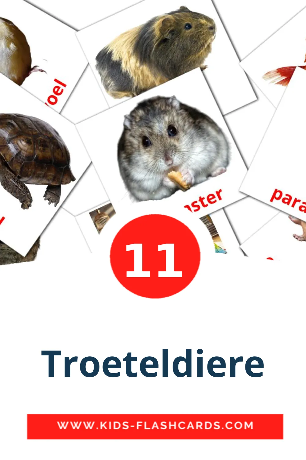 11 carte illustrate di Troeteldiere per la scuola materna in afrikaans