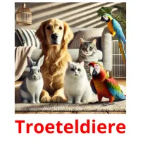 Troeteldiere flashcards illustrate