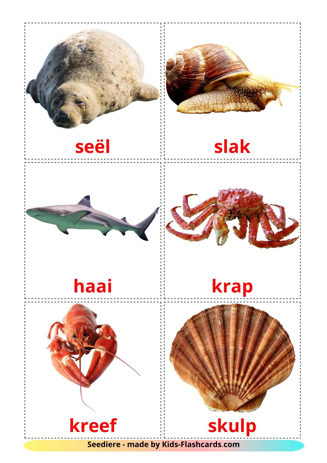 Sea animals - 29 Free Printable afrikaans Flashcards 
