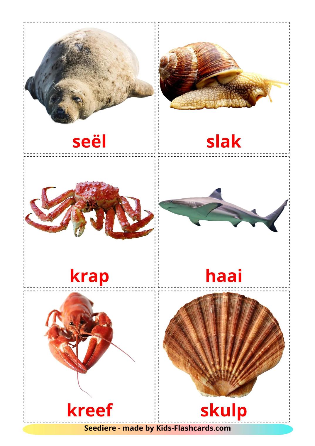 Zeedieren - 30 gratis printbare afrikaanse kaarten