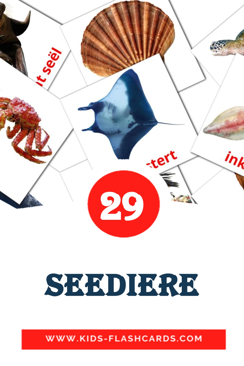 29 Seediere Picture Cards for Kindergarden in afrikaans